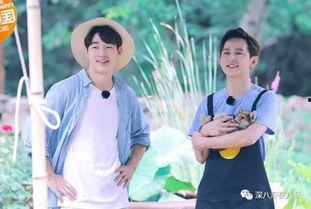 明星大侦魏大勋公主,魏大勋与公主的明星大侦奇遇记